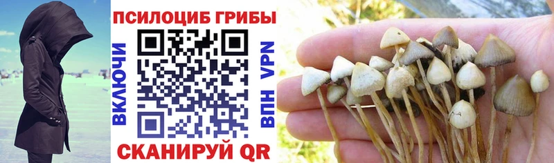 дарнет шоп  hydra маркетплейс  Галлюциногенные грибы мицелий  Пыть-Ях 