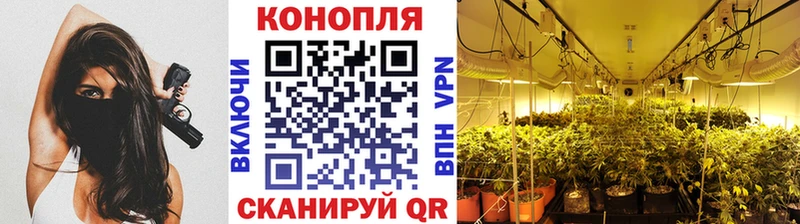 МАРИХУАНА сатива Пыть-Ях